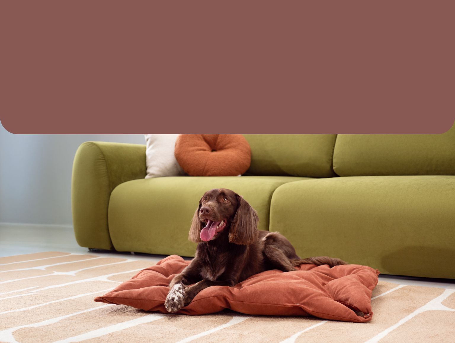 Жастармен ресейлік анальный секс в HD